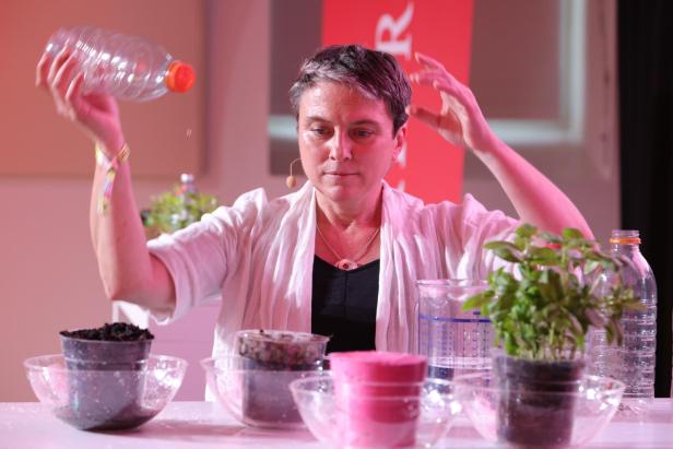 Eine Person gießt Wasser aus einer Plastikflasche in einen Blumentopf, umgeben von weiteren Pflanzen und Behältern.