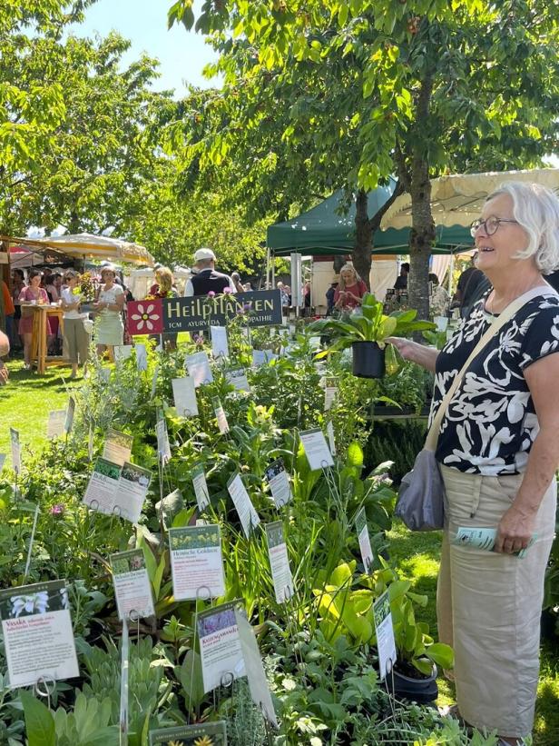 Gartenmarkt im Stiftsgarten von Seitenstetten