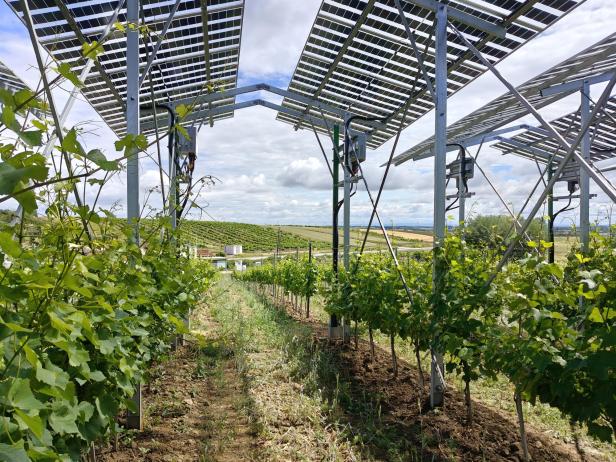 Agri-PV Zistersdorf