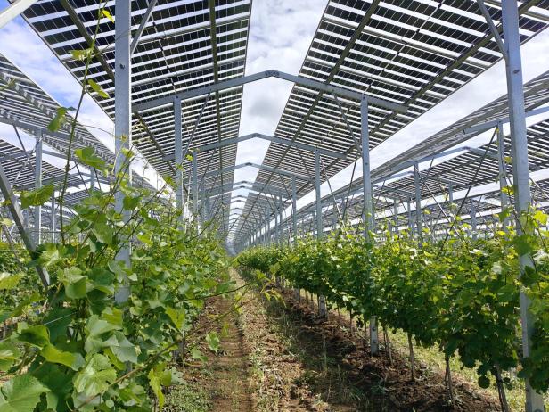 Agri-PV Zistersdorf