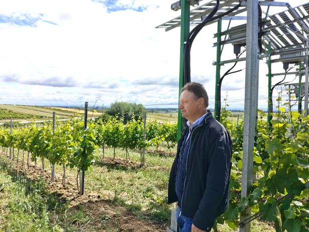 Agri-PV Zistersdorf