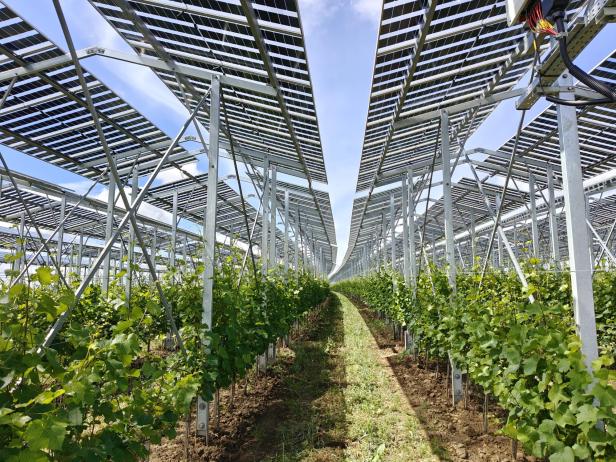 Agri-PV Zistersdorf