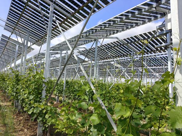 Agri-PV Zistersdorf