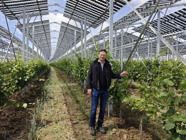 Agri-PV Zistersdorf
