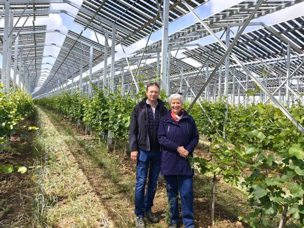 Agri-PV Zistersdorf
