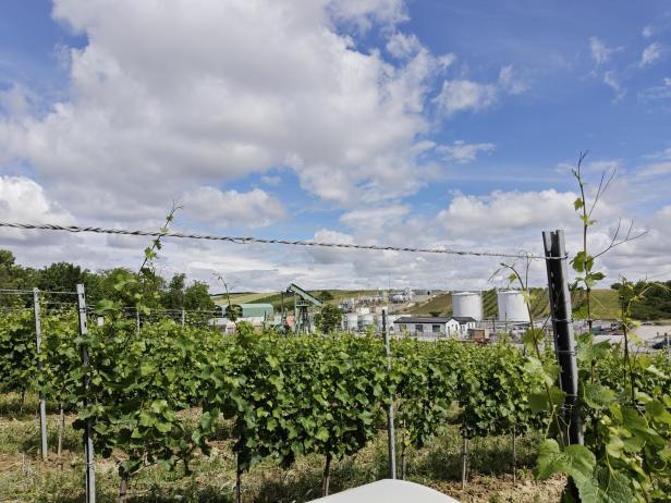 Agri-PV Zistersdorf
