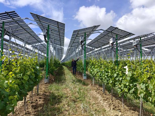 Agri-PV Zistersdorf