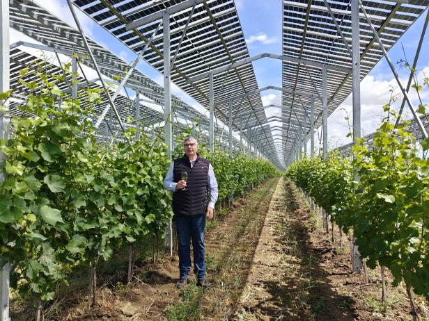 Agri-PV Zistersdorf