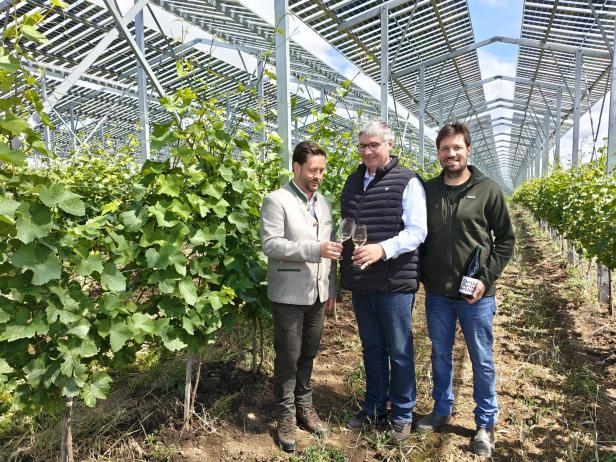 Agri-PV Zistersdorf