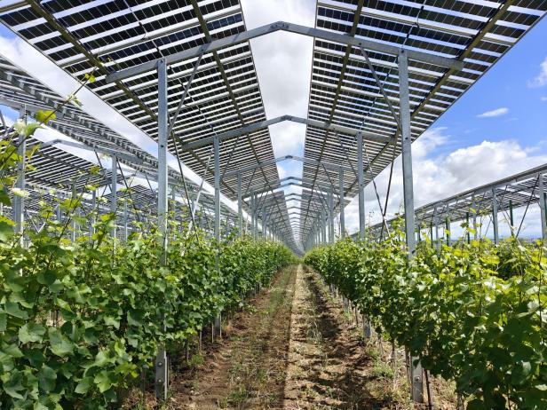 Agri-PV Zistersdorf