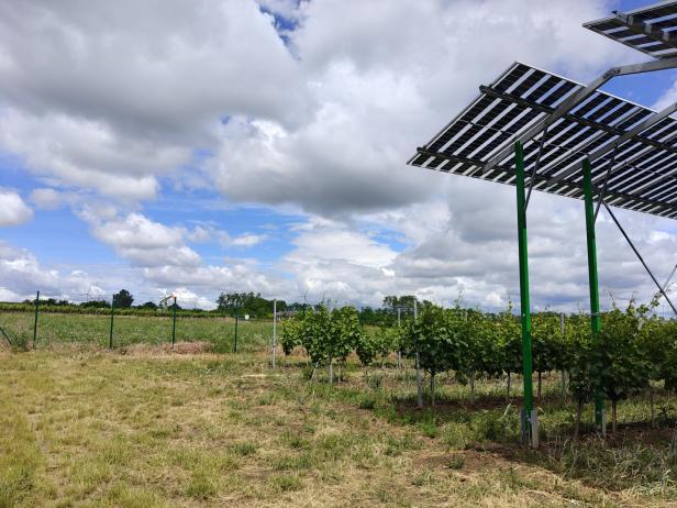 Agri-PV Zistersdorf