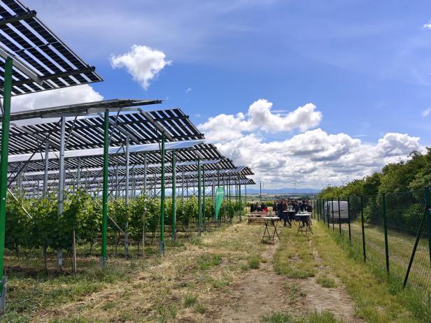 Agri-PV Zistersdorf