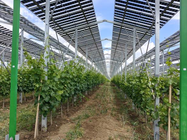 Agri-PV Zistersdorf