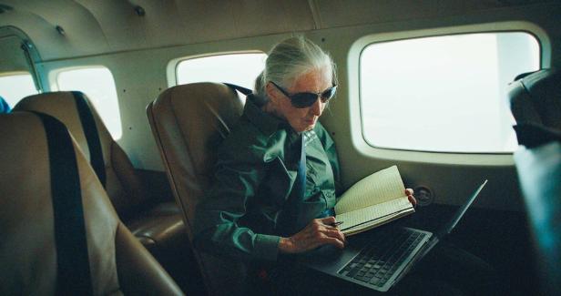Jane Goodall bei der Arbeit im Flugzeug.