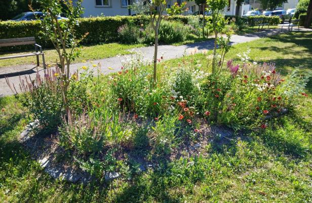 Blumenbeet mit jungen Bäumen, Sitzbänken und einem Weg in einem sonnigen Park.