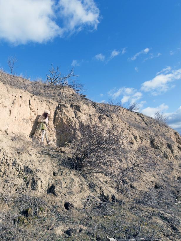 Eine Frau in der Landschaft