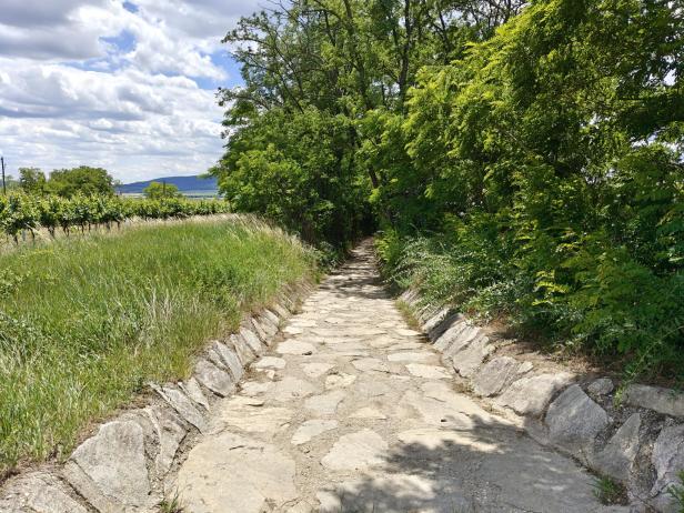 Seitweg in Hadres