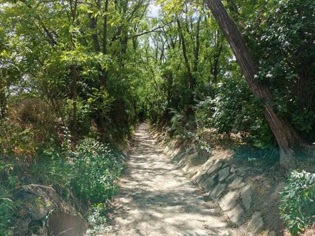 Seitweg in Hadres