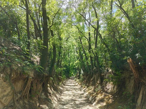 Seitweg in Hadres