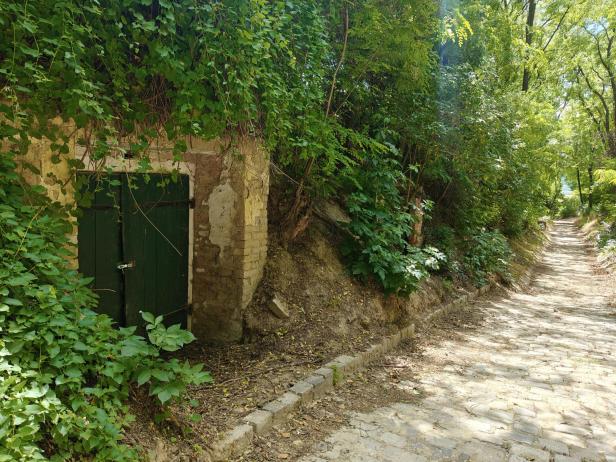 Seitweg in Hadres