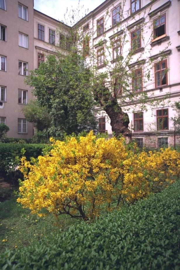 46-3527632