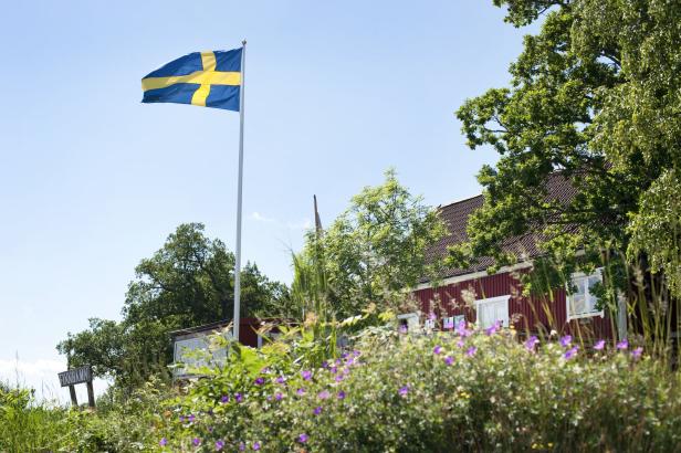 Eine schwedische Flagge weht vor einem roten Holzhaus in Finnhamn, umgeben von blühenden Wiesen und Bäumen unter blauem Himmel.