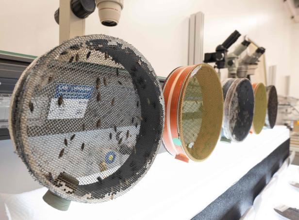 AUSTRIA-IAEA-NUCLEAR-RESEARCH-LABORATORIES
