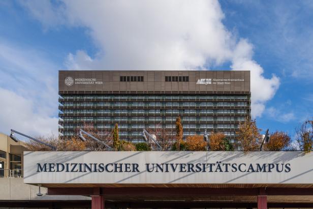 AKH Wien 