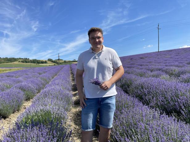 Landwirt steht in einem blühenden Lavendelfeld.