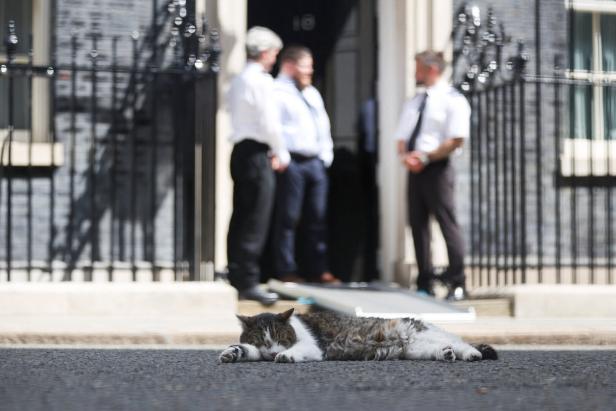 Westminster Scenes