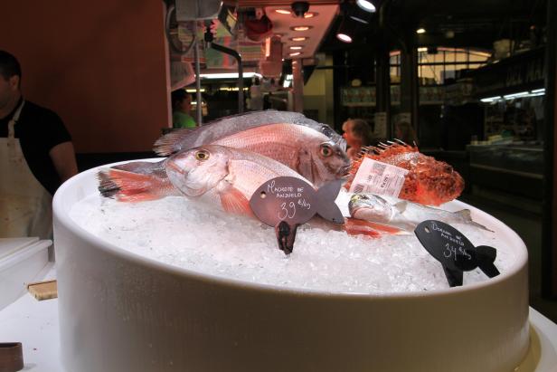 Mehrere frische Fische liegen auf Eis in einer Theke, mit Preisschildern versehen.