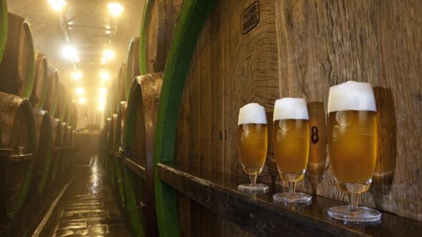 Drei Gläser Pilsener Urquell stehen vor einem Fass im Lagerkeller.
