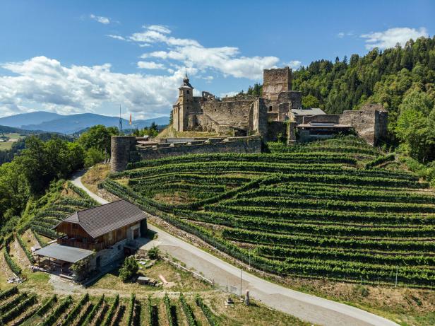 Burganlage auf einem Weinberg mit Terrassen, darunter ein Haus, umgeben von Wald und Bergen unter blauem Himmel.
