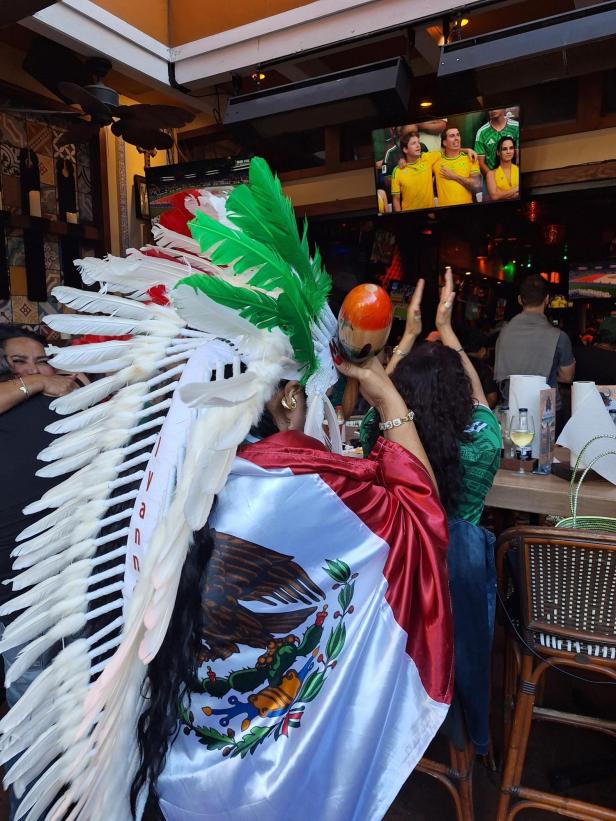 Mexiko Fan Fußball-WM