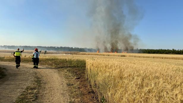 Flurbrand Markgrafneusiedl