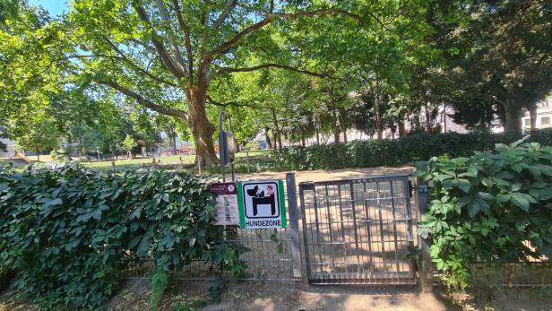 Arne-Karlsson-Park, Alsergrund, Park, Plantanen