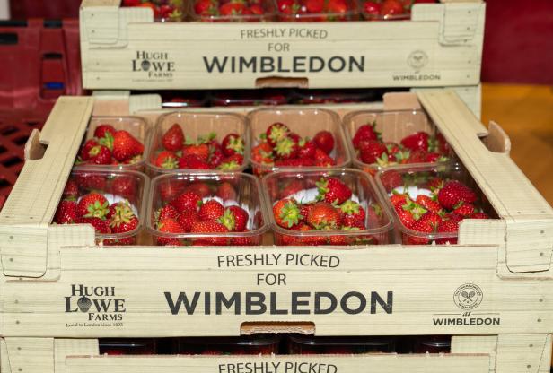 Wimbledon Erdbeeren