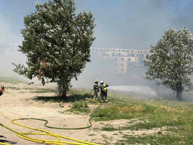 Feuerwehr löscht Feldbrand vor Wohnhäusern im Rauch.