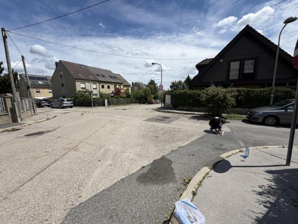Wohnstraße mit Häusern, geparkten Autos und einer knienden Person am Straßenrand unter blauem Himmel.