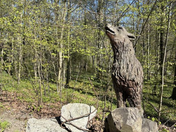 Eine aus Holz geschnitzte Wolfsfigur steht heulend vor einem sonnendurchfluteten Wald mit frischem Frühlingsgrün.