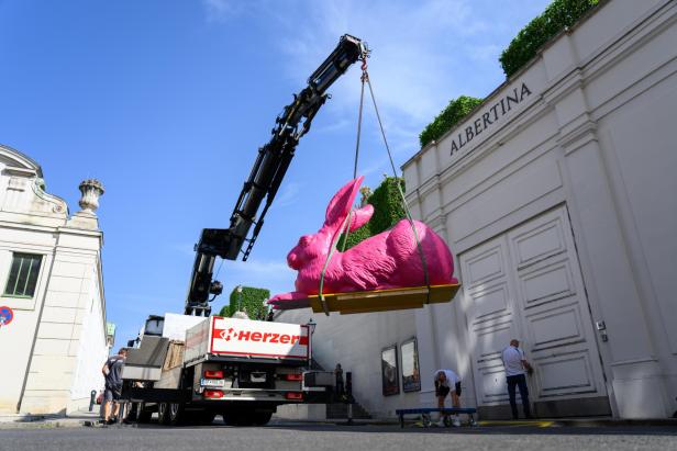 Ein Kran hebt eine große pinke Hasen-Installation vor dem Eingang der Albertina.