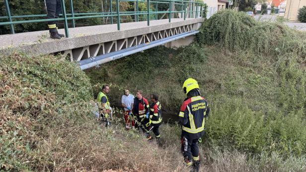 Feuerwehreinsatz Hollabrunn