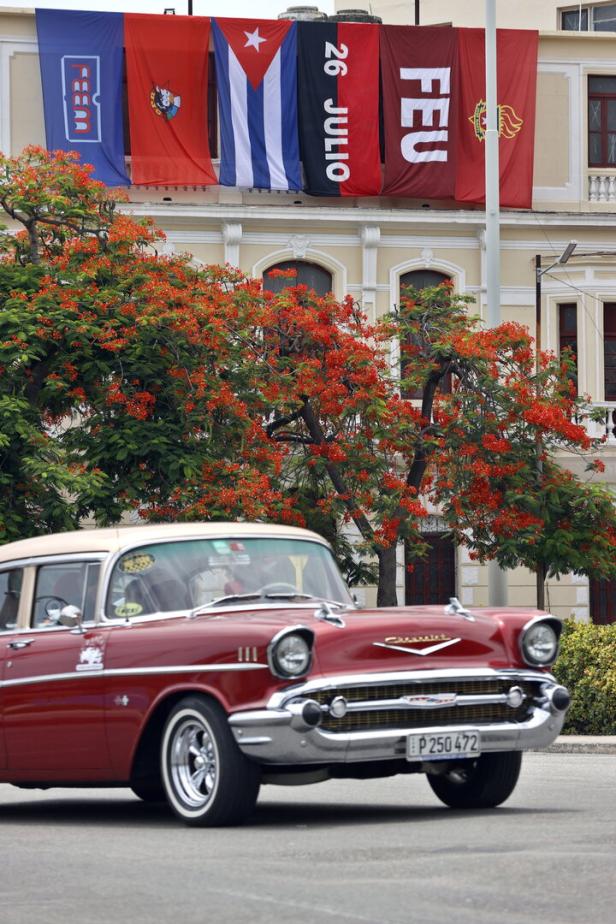 Ein roter Chevrolet Oldtimer fährt vor einem Gebäude mit kubanischen Flaggen und blühenden Flammenbäumen vorbei.
