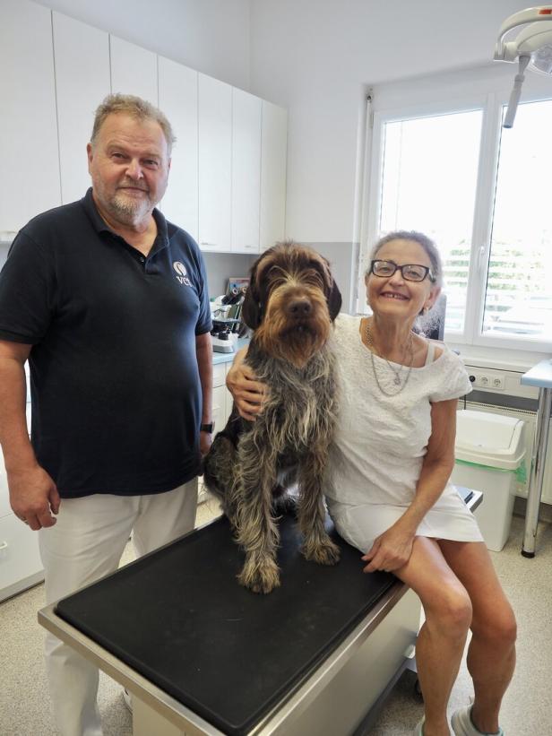Ein Tierarzt und eine Frau stehen in einer Praxis neben einem auf dem Behandlungstisch sitzenden, zotteligen Hund.