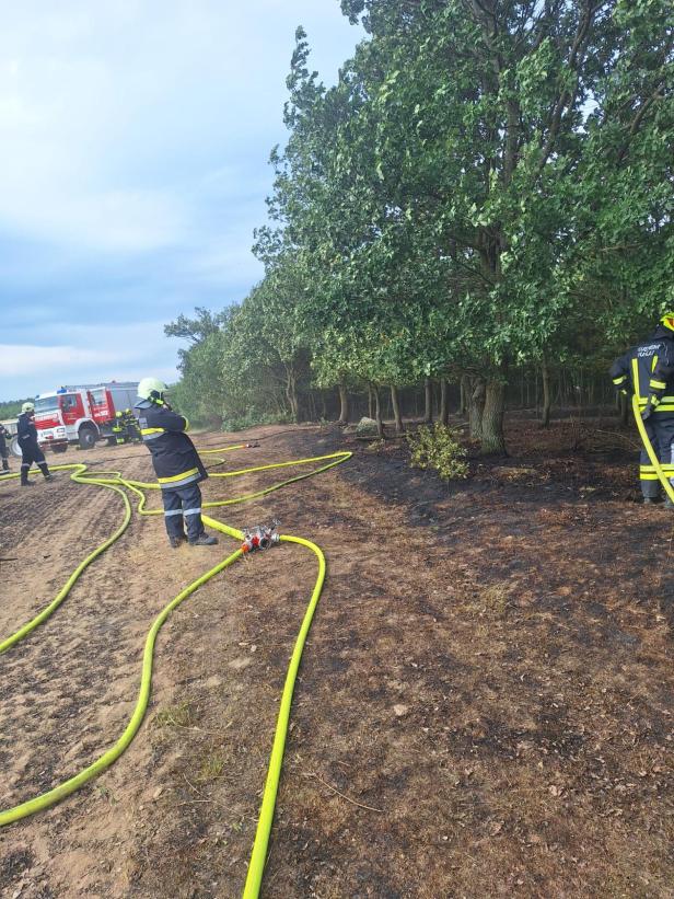 Brand Theras