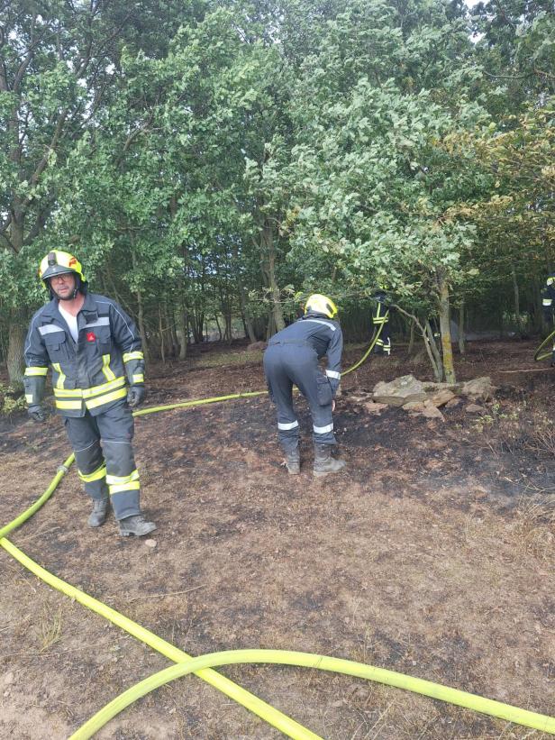 Brand Theras