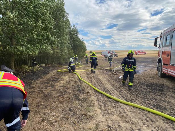 Brand Theras