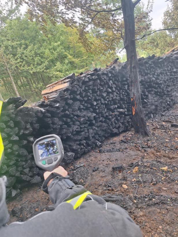 Brand Theras
