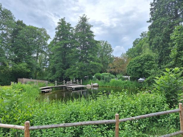 Badebiotop am Campingplatz in Purgstall
