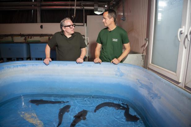 Robert Palfrader und Stefan Bauer stehen an einem Welsbecken in der Aquaponik-Anlage in Wien-Essling.
